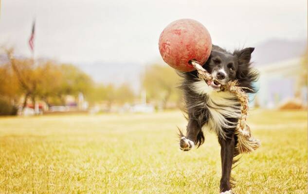  Wer kennt es nicht? Kaum ist der normale Ball...