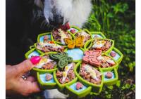 Mandala Futtertablett für Hunde - Gruen