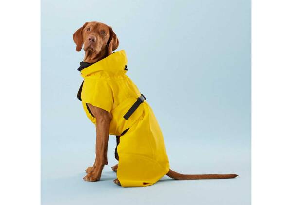 PAIKKA Visibility Raincoat Lite Yellow for Dogs 20cm