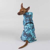 PAIKKA Visibility Raincoat Lite Petrol dye for Dogs 25cm