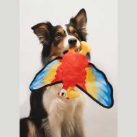 BUBA Pet Phoenix Feniks