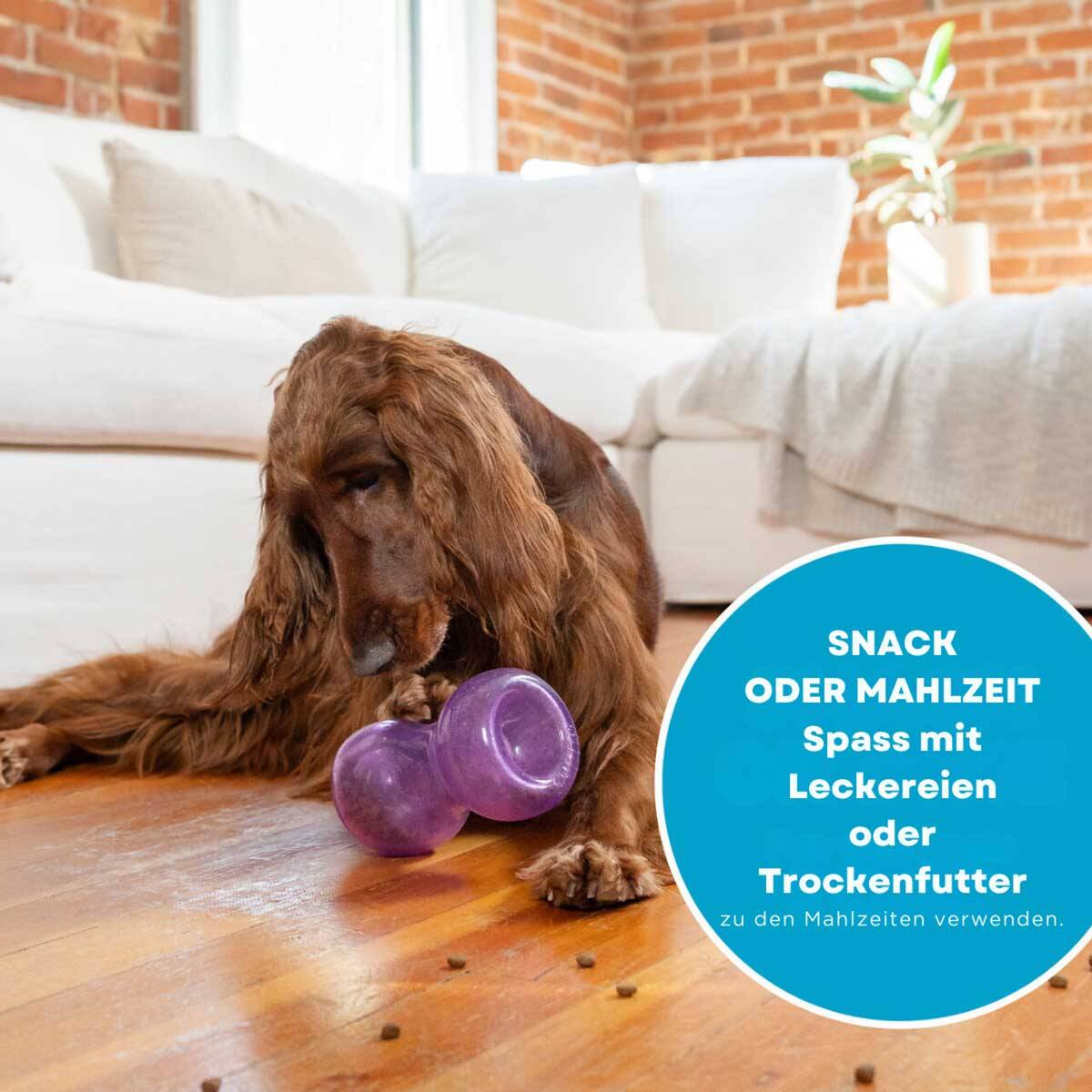 hundespielzeug leckerli Vegane Hundeleckerli | 100% Bio & natürlich
