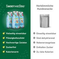 Smoothiedog Summer-Edition Pool Pawty