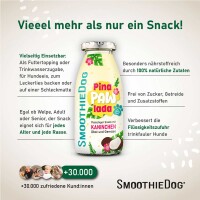 Smoothiedog Sweet Summer-Edition 2026 Pool Pawty