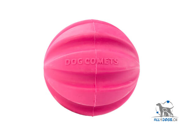 Dog Comets Ball Halley Rosa