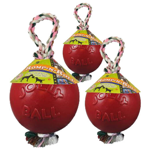 Jolly Ball Romp-n-Roll 10cm Rot