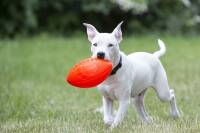 Jolly Football Orange (Vanilleduft) 20*12 cm