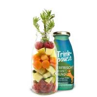 Smoothiedog Trinkpause 250ml